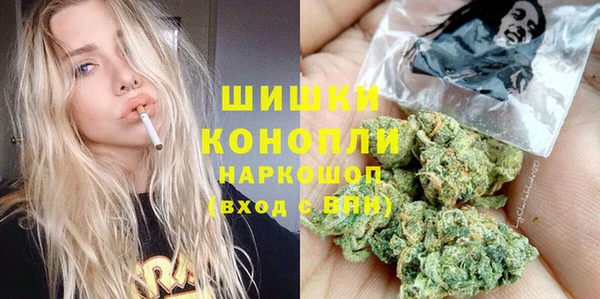 тгк Абаза