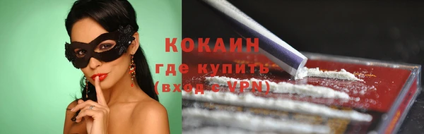 тгк Абаза