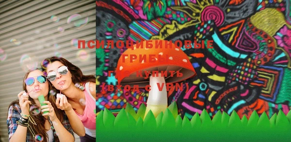 тгк Абаза