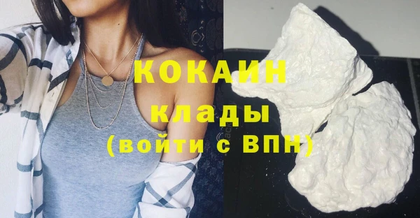 тгк Абаза