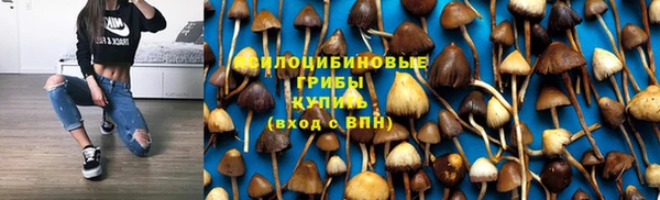 сатива Абдулино