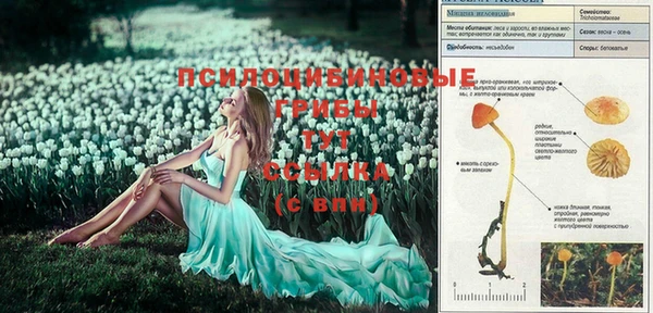 твердый Абинск