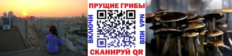 KRAKEN ONION  Щучье  Псилоцибиновые грибы ЛСД 